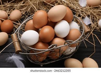 nattu kozhi egg